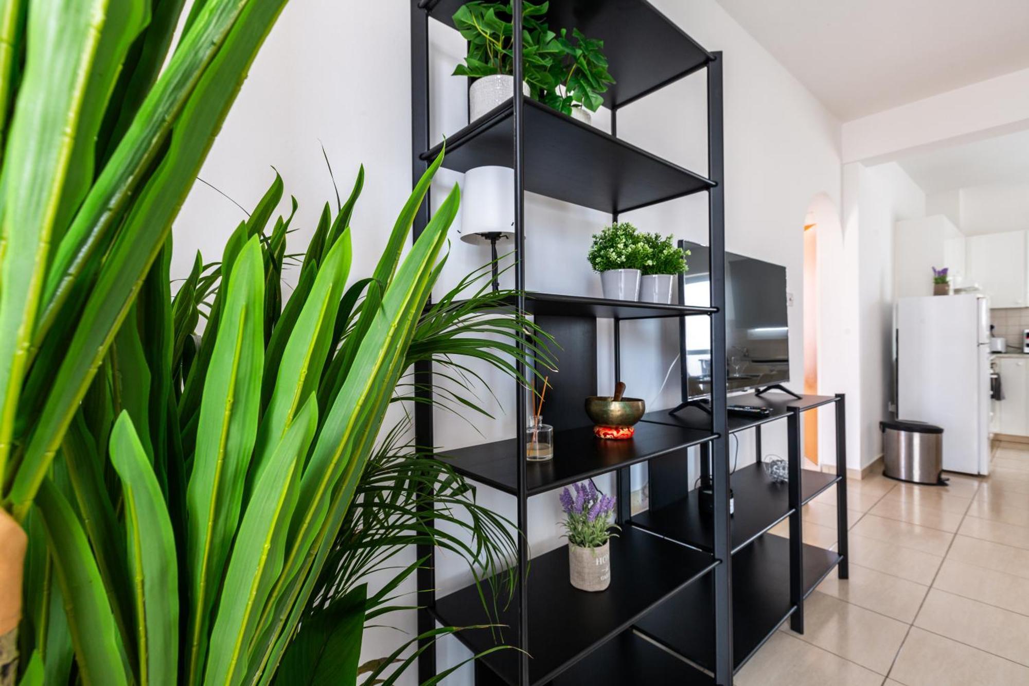 Beautiful 2 Bed Apartment In Paphos Cyprus Eksteriør bilde